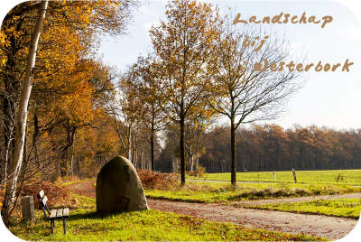 het landschap van Westerbork